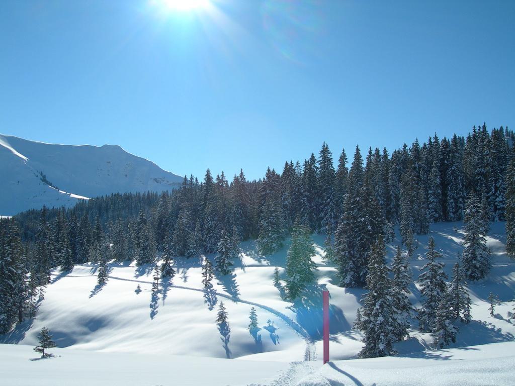 Hotel Crystal 3*